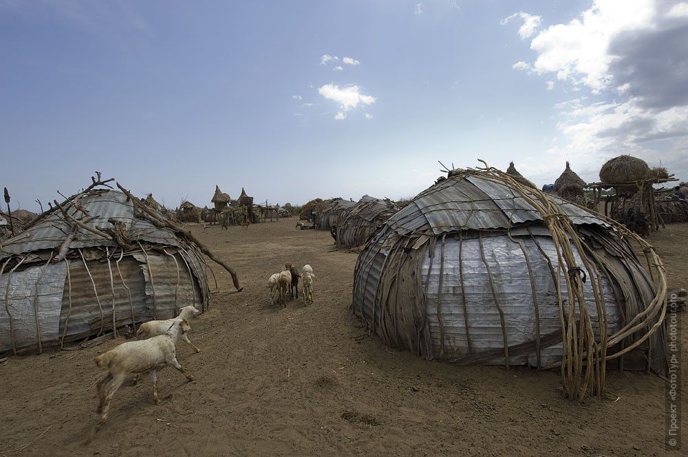 Фотография Жилье Племени Дэсанэч Эфиопия. Фототур в Эфиопию.