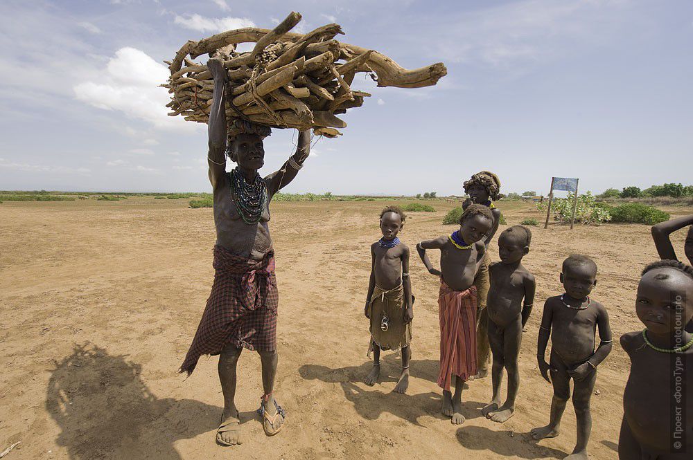 Фотография Эфиопия. Дрова. Фототур в Эфиопию.