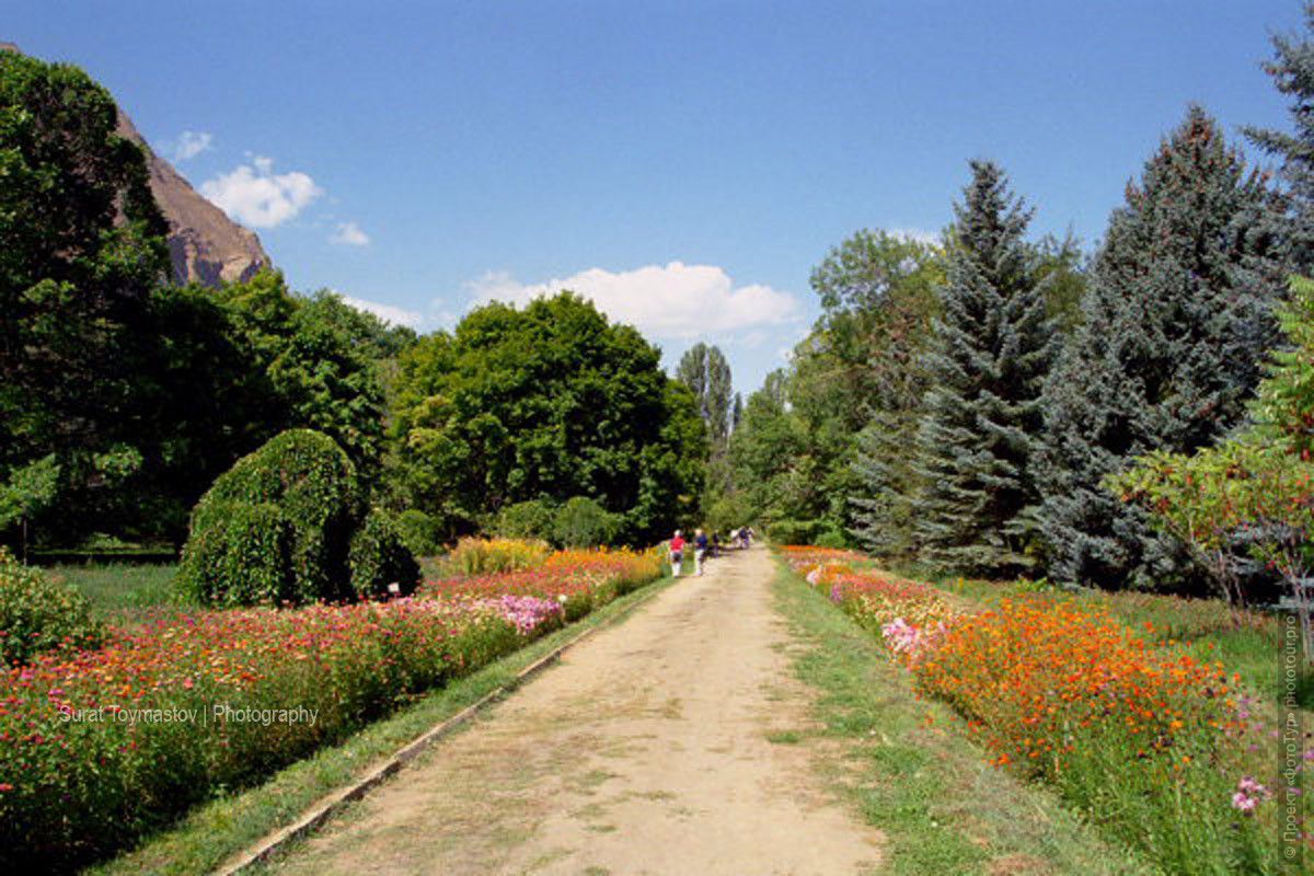 Фотография ботанического сада в Хороге, Памир, фототур на Памир.