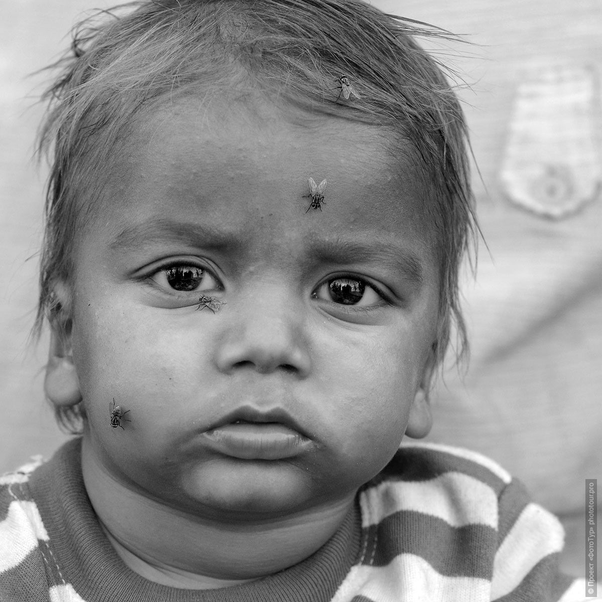 Индийский мальчишечка, Матхура. Фотография мужчины из Индии.