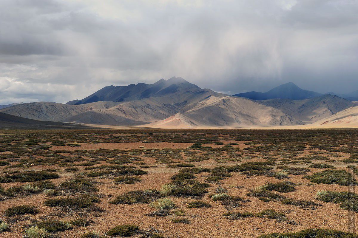 Горная пустыня Ладакха, Лех-Манальское Шоссе. Фототур в Долину Спити из Леха,  Малый Тибет, Индия.