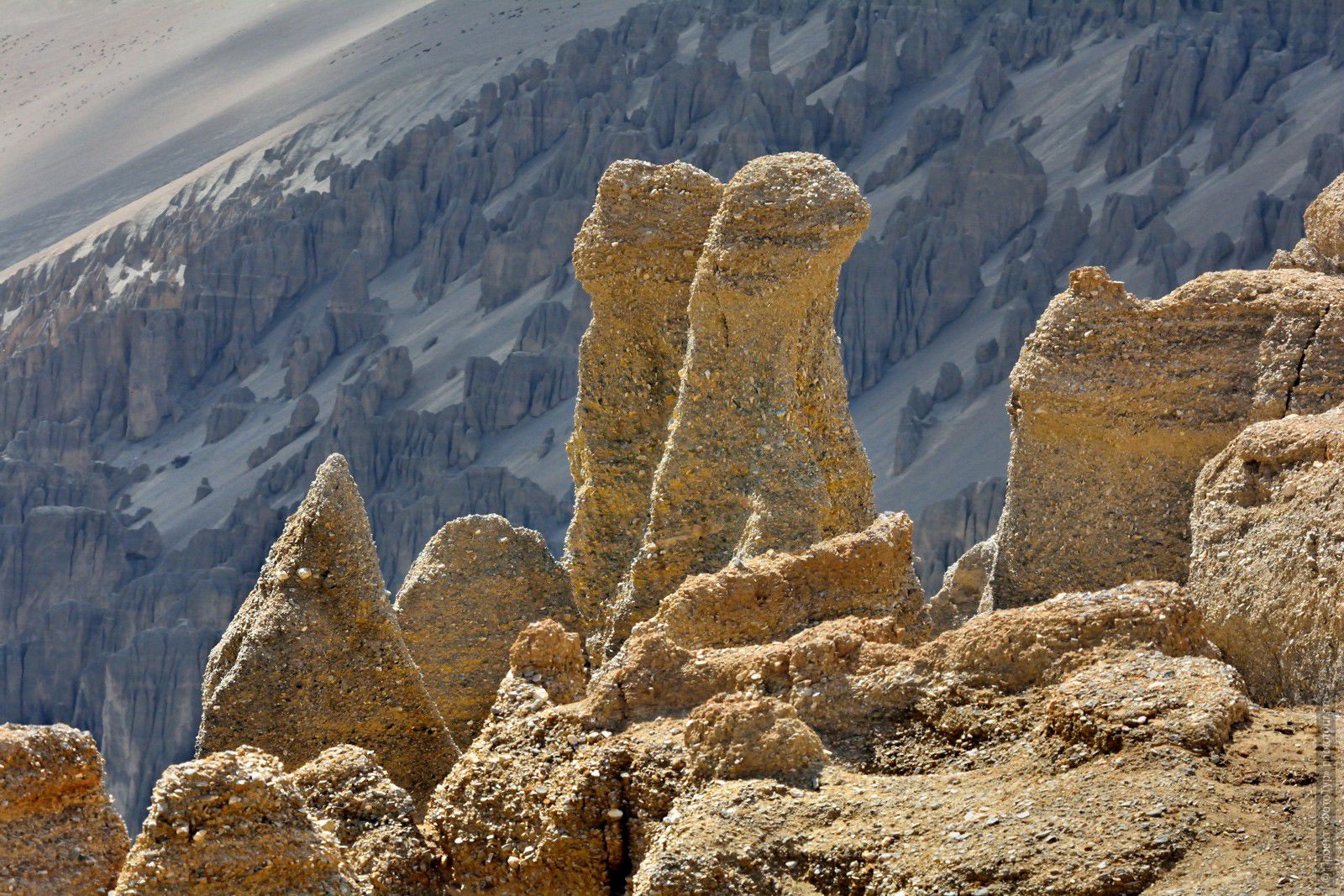 Фото Каменные Истуканы Большого Каньона, Лех-Манальское Шоссе, ТрансГималаи. Фототуры в Ладакх, Северная Индия.
