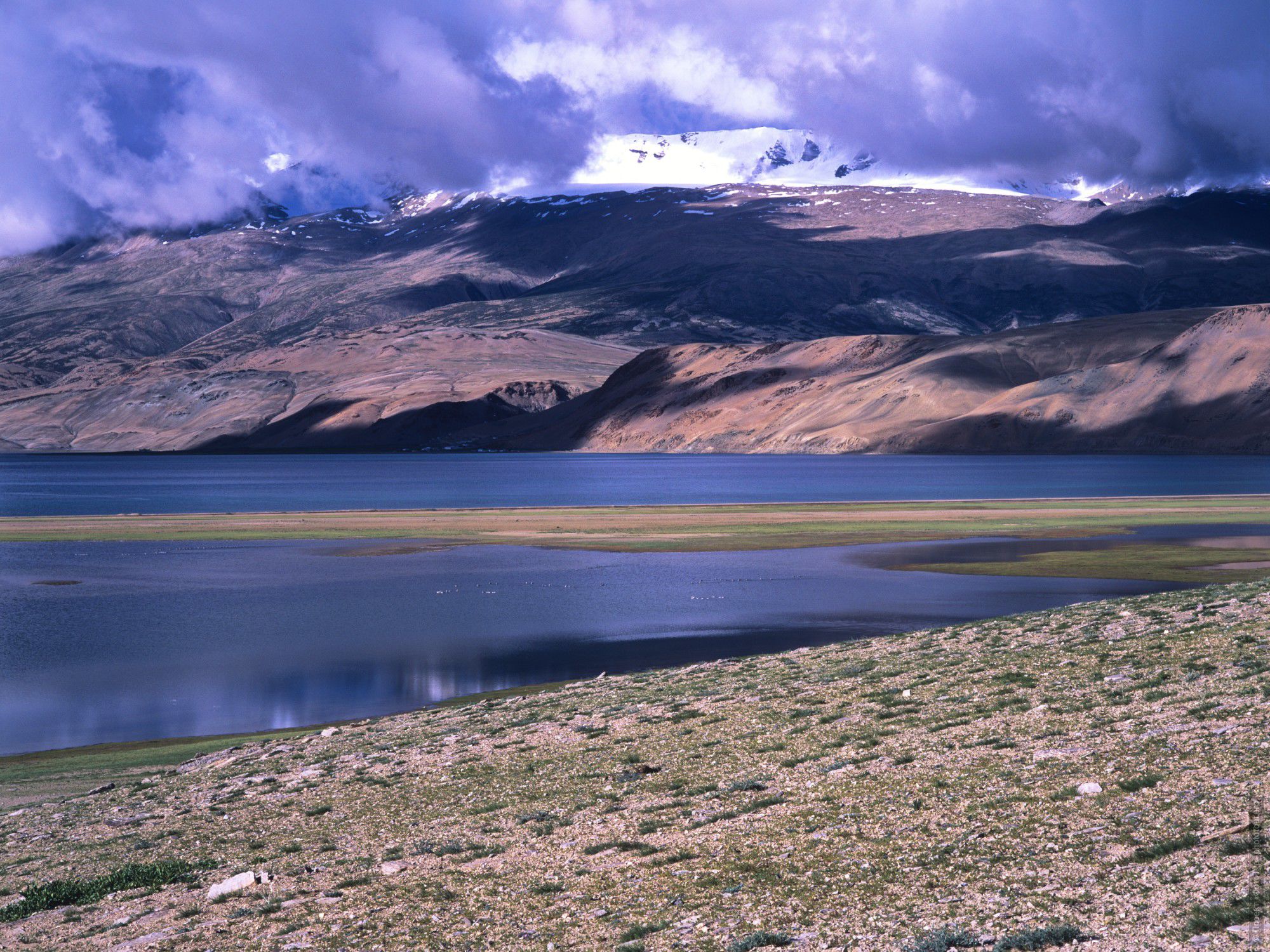 Фотография Фиолетовый Цо Морири, пленка. Бюджетный фототур по высокогорным озерам Тибета, Ладакх.
