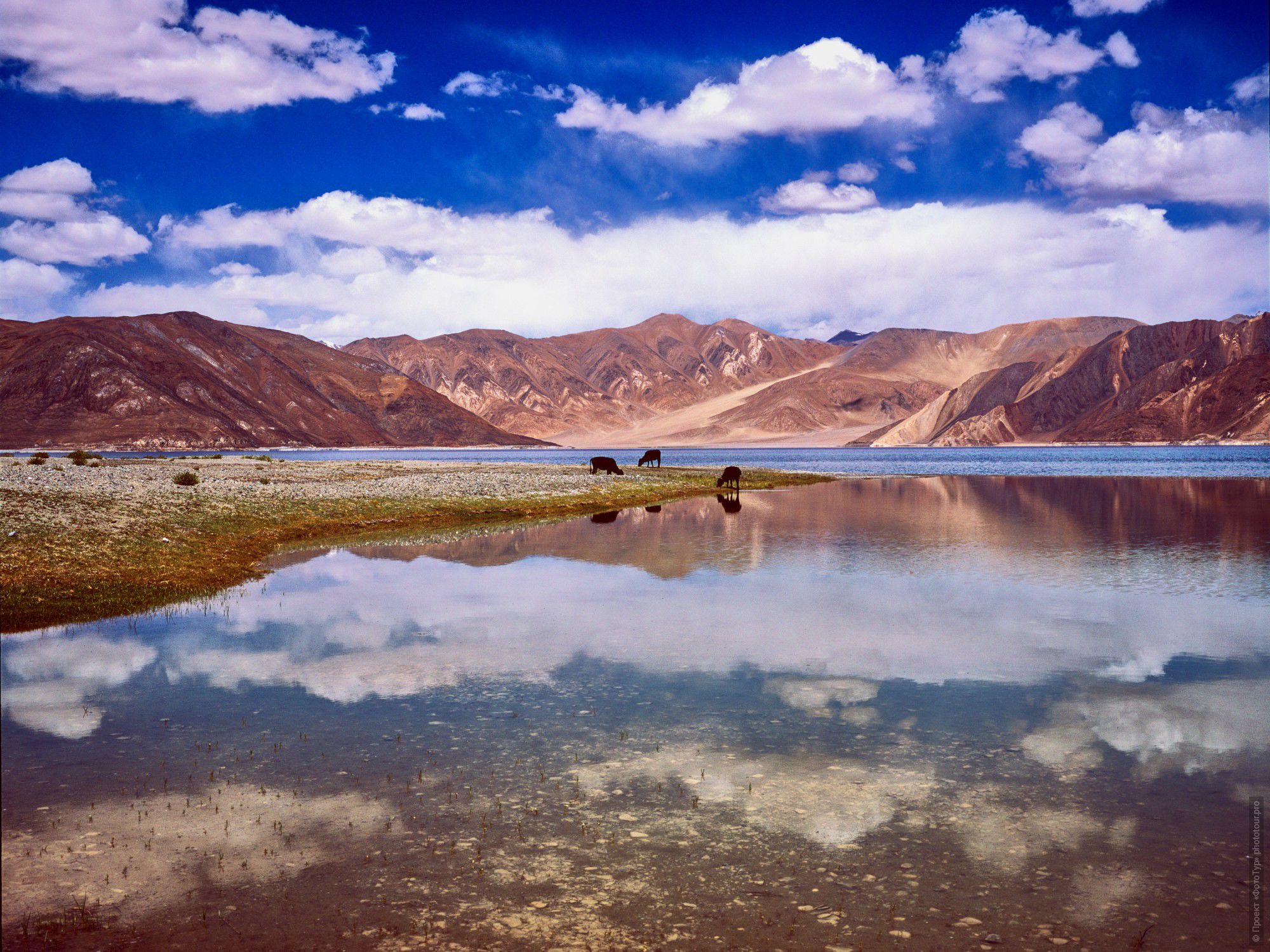 Пленочная фотография Августовский Пангонг Тсо, пленка, фототур по высокогорным озерам Ладакха.