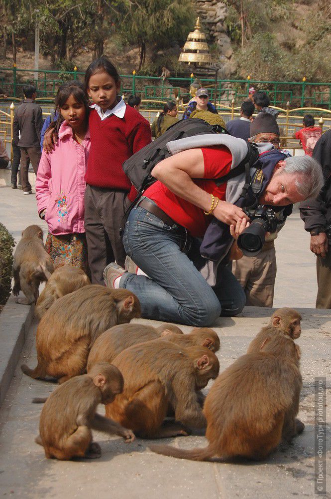 Фототур в Непал, феврать 2010г. Первая встреча: Олег и обезьяны. Ступа Сваямбуднатх, Катманду.