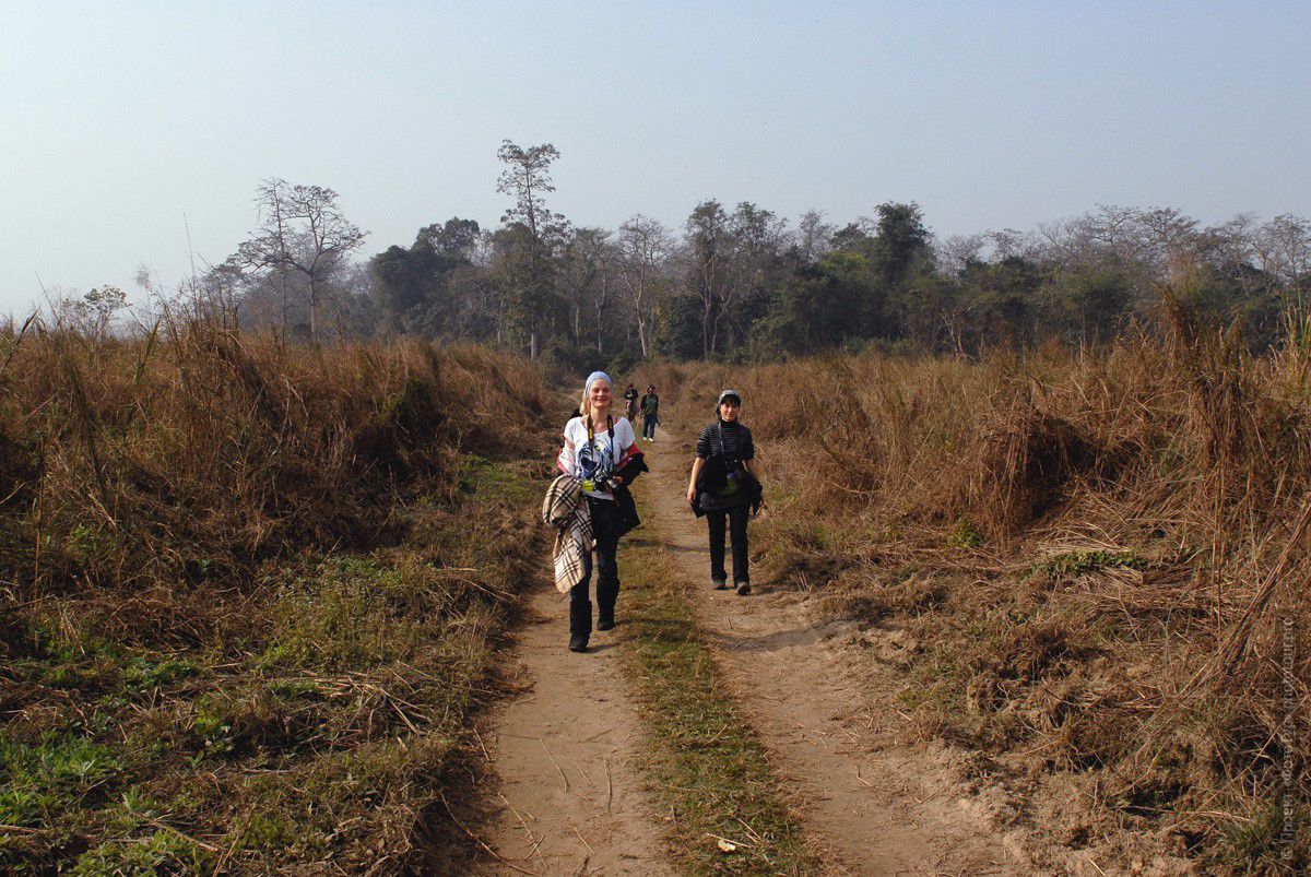 Фототур в Непал, феврать 2010г.В джунглях Читвана.
