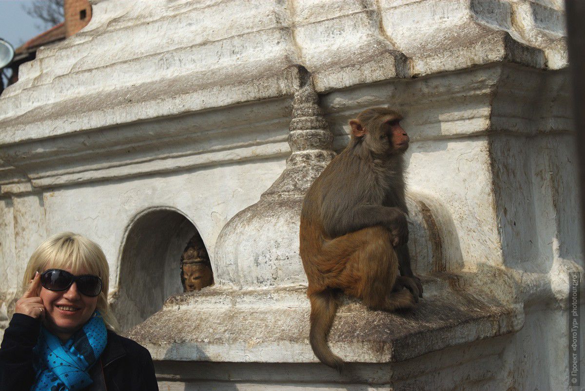 Фототур в Непал, феврать 2010г: Портрет в славной компании: ступа Сваямбоднатх. Monkey Temple. Катманду.