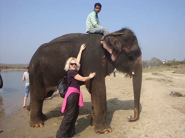 Тур в Непал: слоны в Читване.