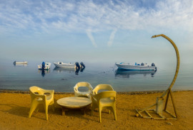 �����. ���������� �� �������������.