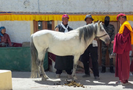 ���������������� ����� ������: ��� ������������� ����.