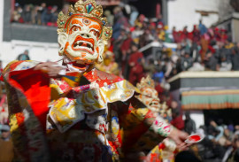 ���������� �������� ������  ������ (Pethub Gustor), ���, ������.