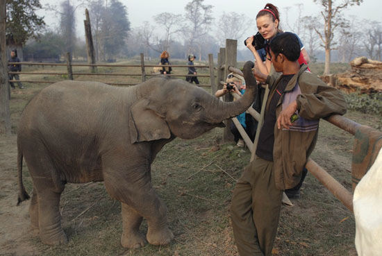 Тур в Непал: слоновий питомник в Читване. Читван+фото.