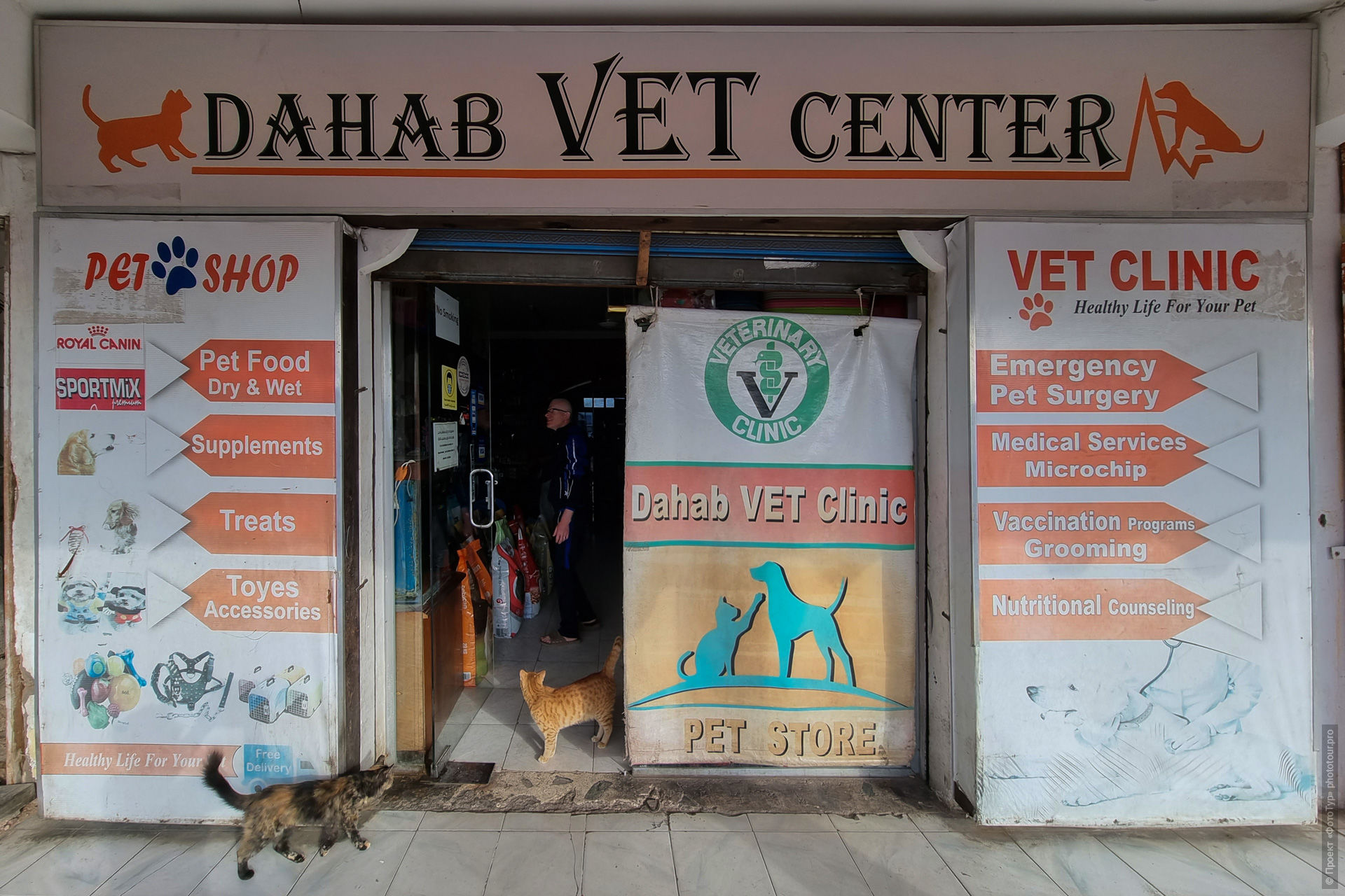 Ветеренарная клиника доктора Амиры в Дахабе, Синай, Египет.