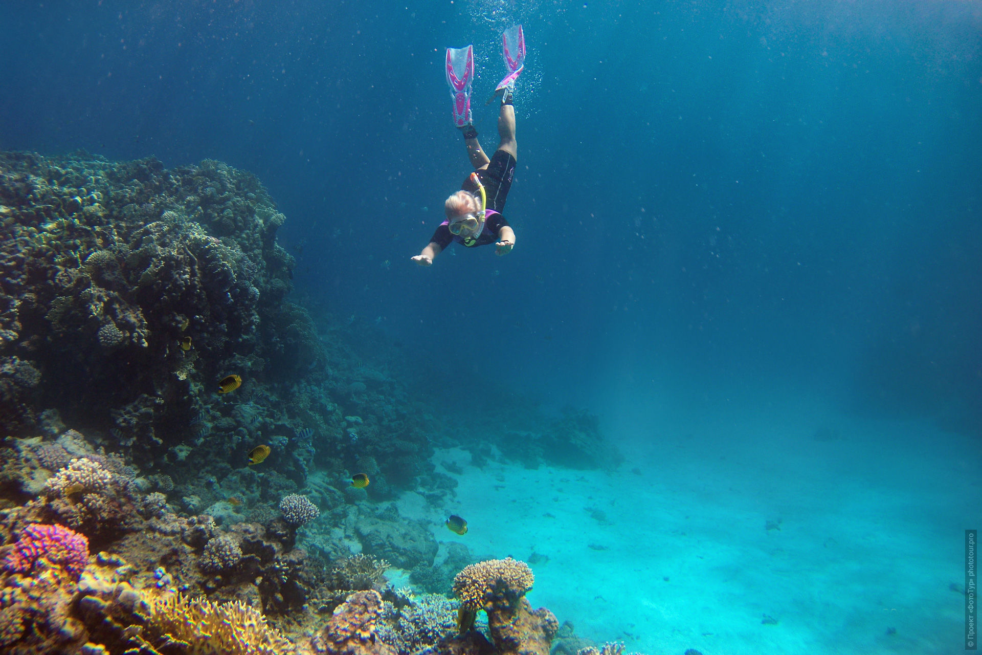 Илона Крыжановская под водой на рифе Эль Гарден в Дахабе.