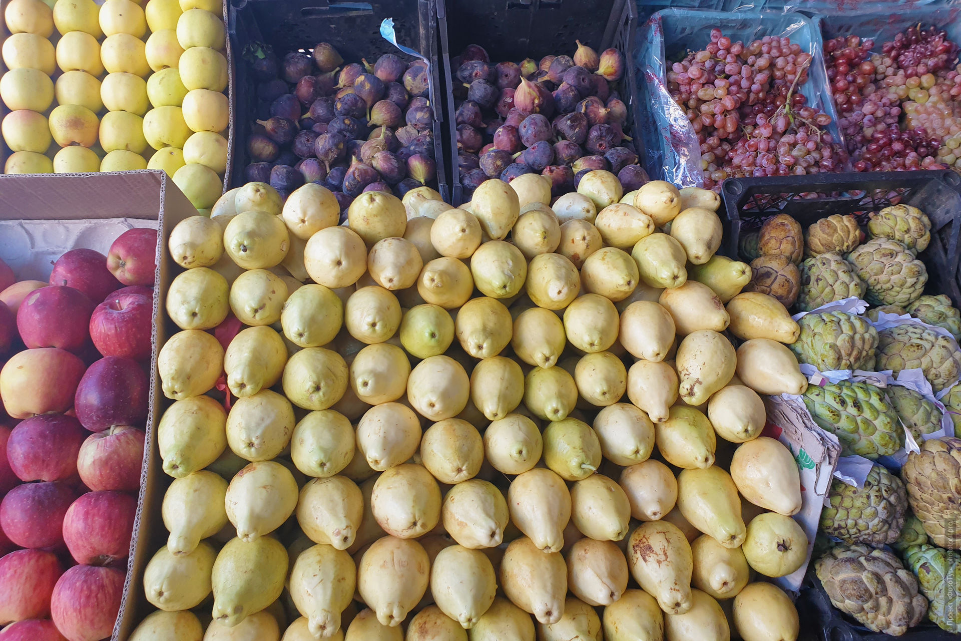 Овощи и фрукты в Дахабе, Ассала, Синай.