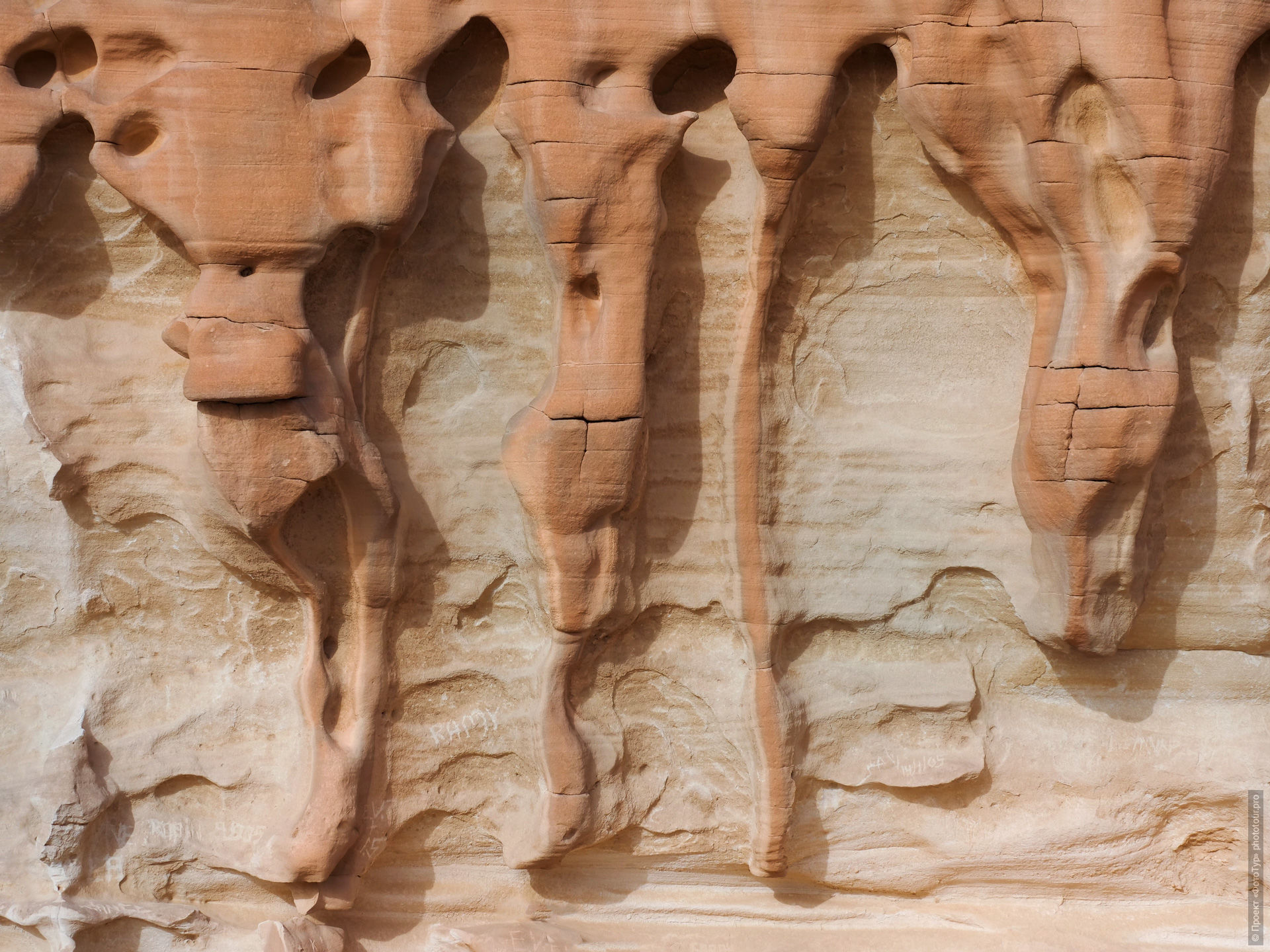 Элементы ячеистого выветривания на вертикальной стене скалы в пустыне Синая, Дахаб, Египет.