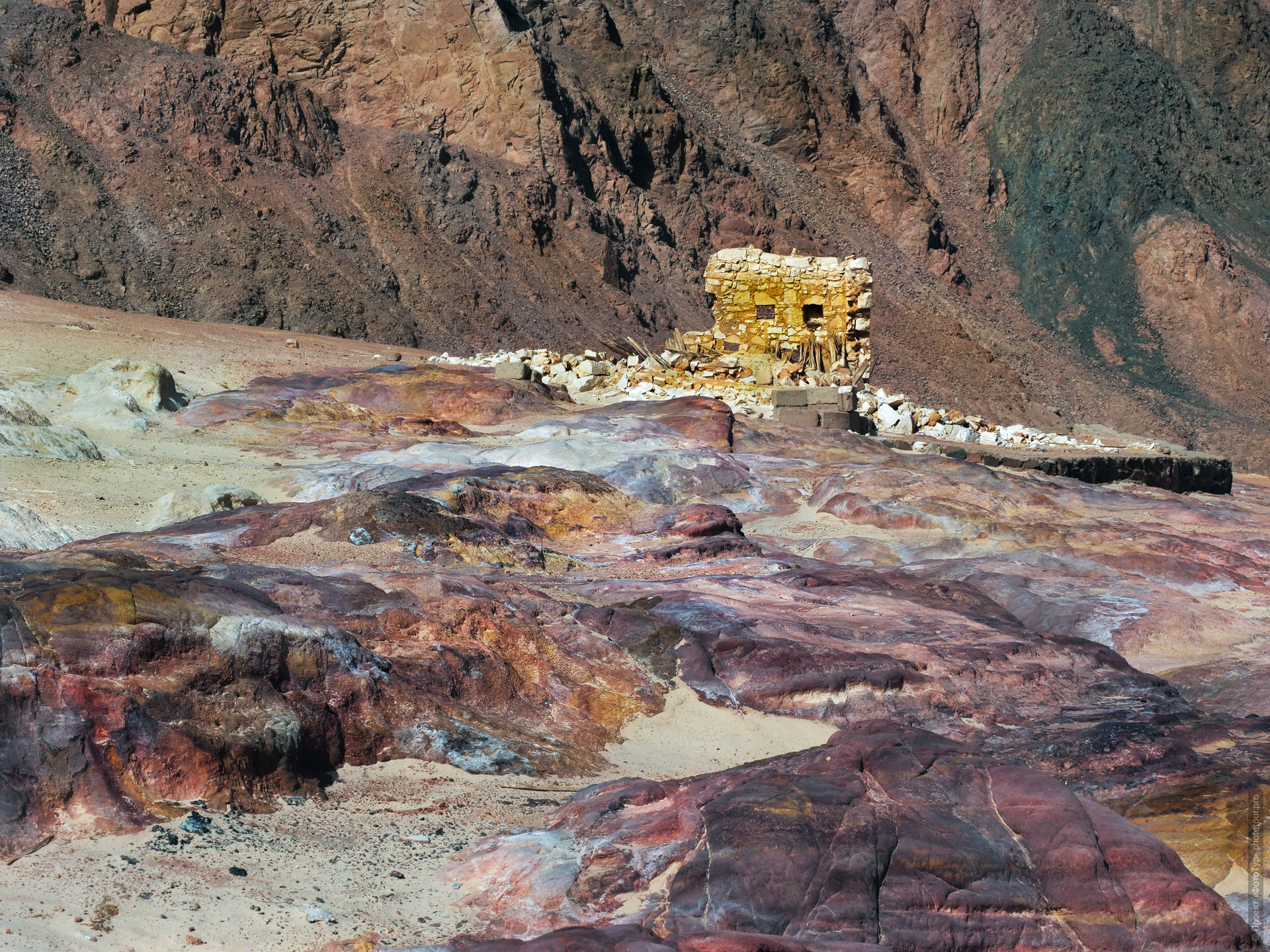 Оазис Синая. Акварельный фототур по Синаю: Красное Море и Цветные Горы,  18 ноября - 27 ноября 2023 года.