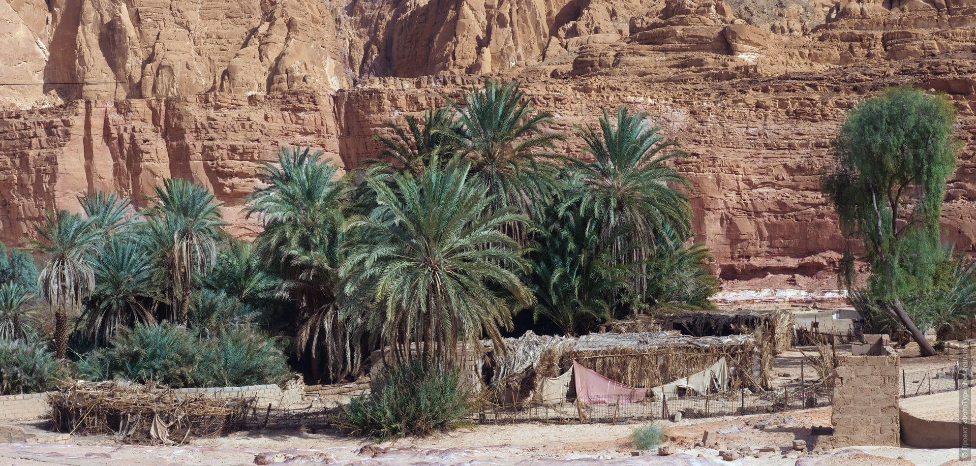Оазис в Синайской Пустыне, Дахаб, Египет.