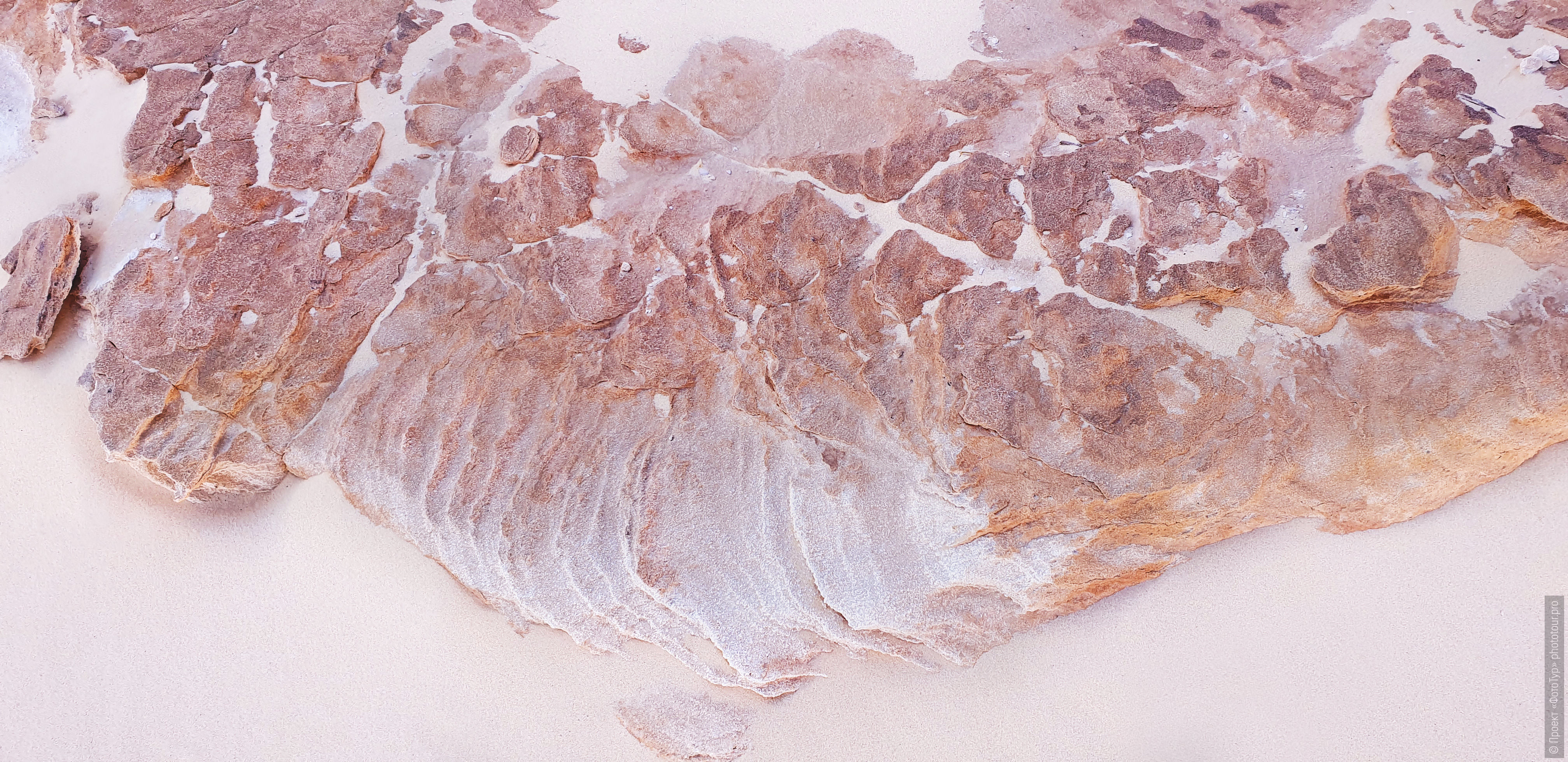 Натюрморт из розовых камней на розовом песке в пустыне Синая, Дахаб, Египет.