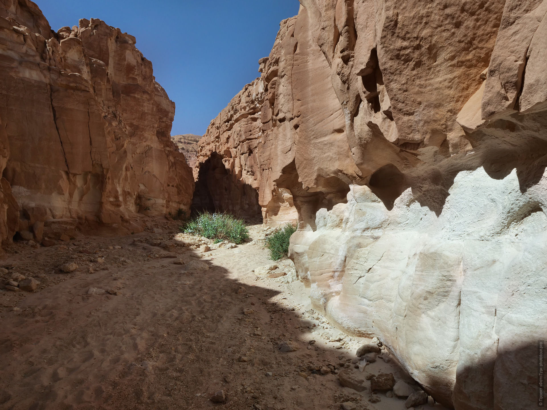 Стены в Каньоне Зигзаг, экскурсия из Дахаба, Синайская Пустыня, Египет.