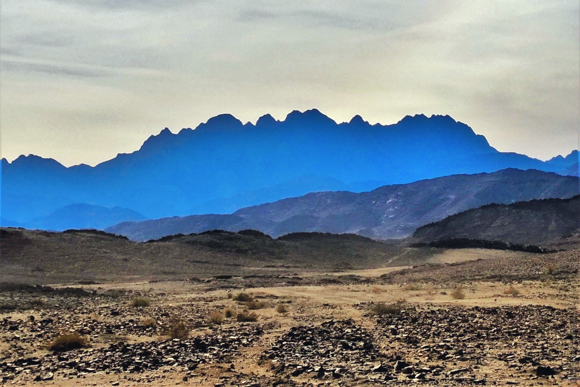 Переезд по вади  до Эль Фуги, приключенческий фототур/тур пустыни и горы Синая, Египет, 27 ноября - 8 декабря 2021 года.