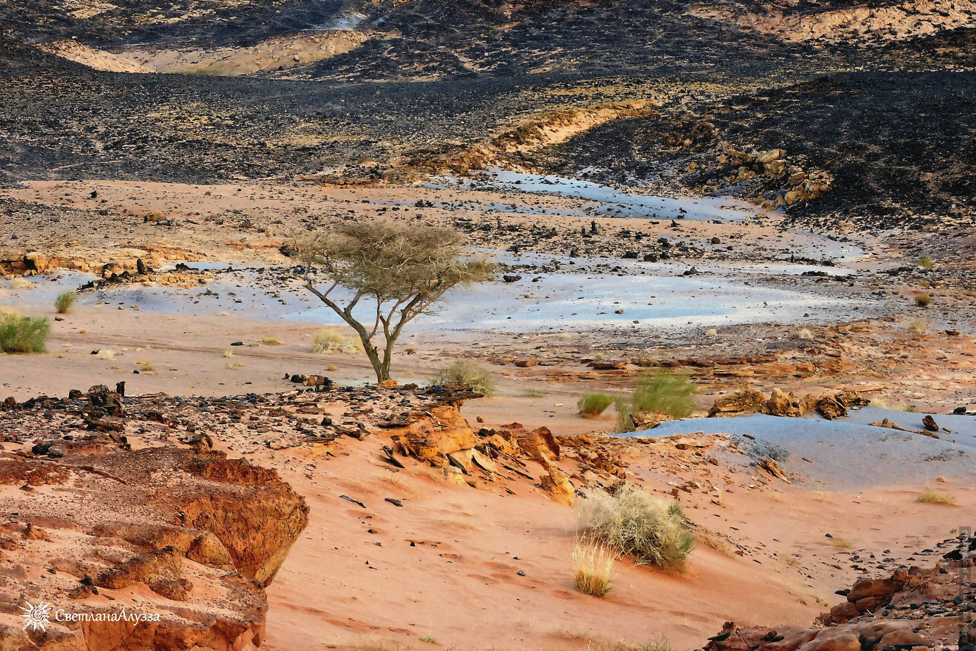 Эль Фуга, приключенческий фототур/тур пустыни и горы Синая, Египет, 27 ноября - 8 декабря 2021 года.