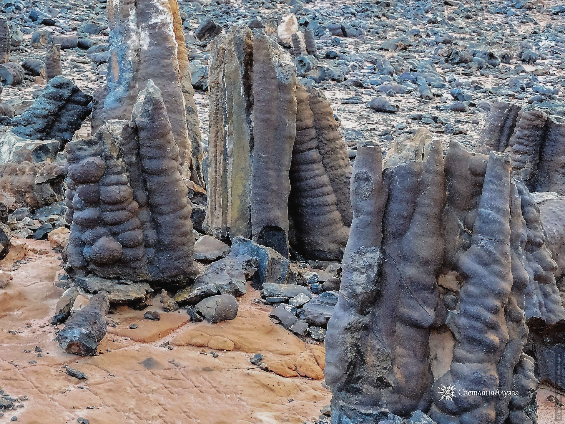 Каменный лес, приключенческий фототур/тур пустыни и горы Синая, Египет, 27 ноября - 8 декабря 2021 года.