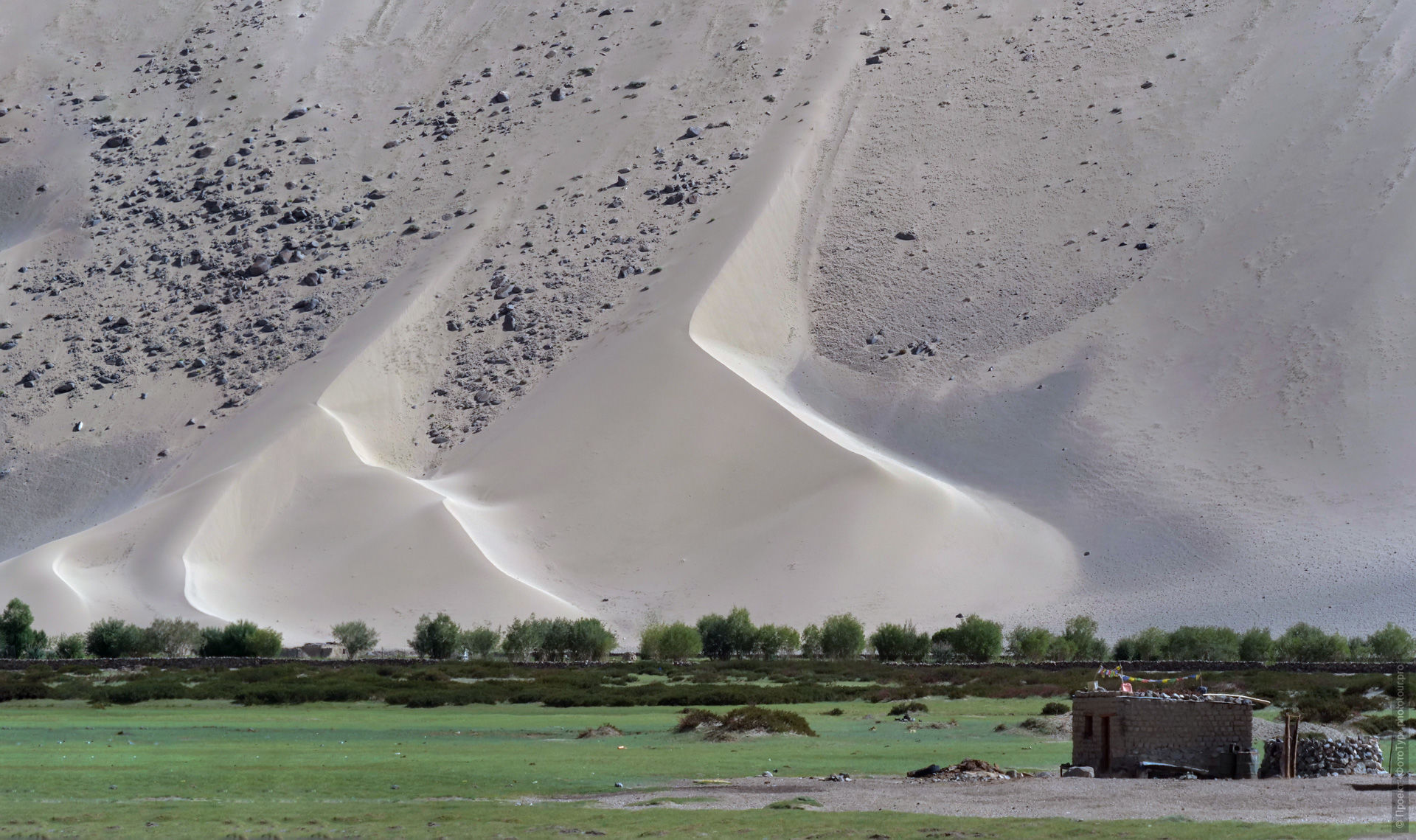 Фрагмент вертикальной пустыни. Фототур по Чантангу, Ладакх. Танец Цам в Ханле, 24 августа - 4 сентября 2024 года.