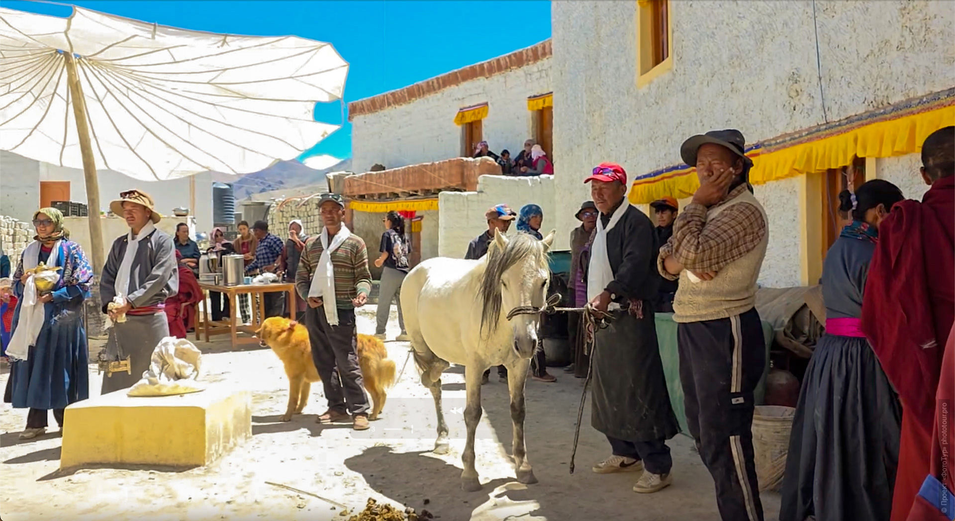 ritual sacrifice buddhism, sacrifice without killing, Tibetan Buddhism ritual, Cham dance, Tsam dance, final ritual Cham, Hanle Monastery, Hanle Gompa, Buddhist rituals Ladakh, Gustor festival, animals in Buddhist rituals, ritual offering mchod pa