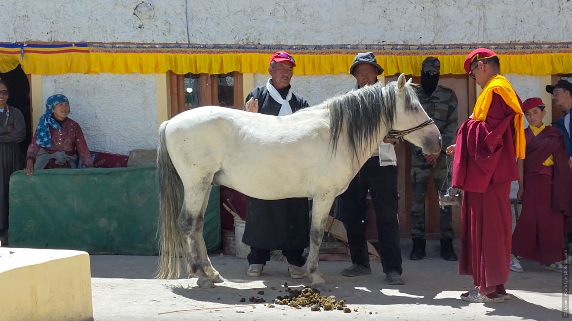 ritual sacrifice buddhism, sacrifice without killing, Tibetan Buddhism ritual, Cham dance, Tsam dance, final ritual Cham, Hanle Monastery, Hanle Gompa, Buddhist rituals Ladakh, Gustor festival, animals in Buddhist rituals, ritual offering mchod pa
