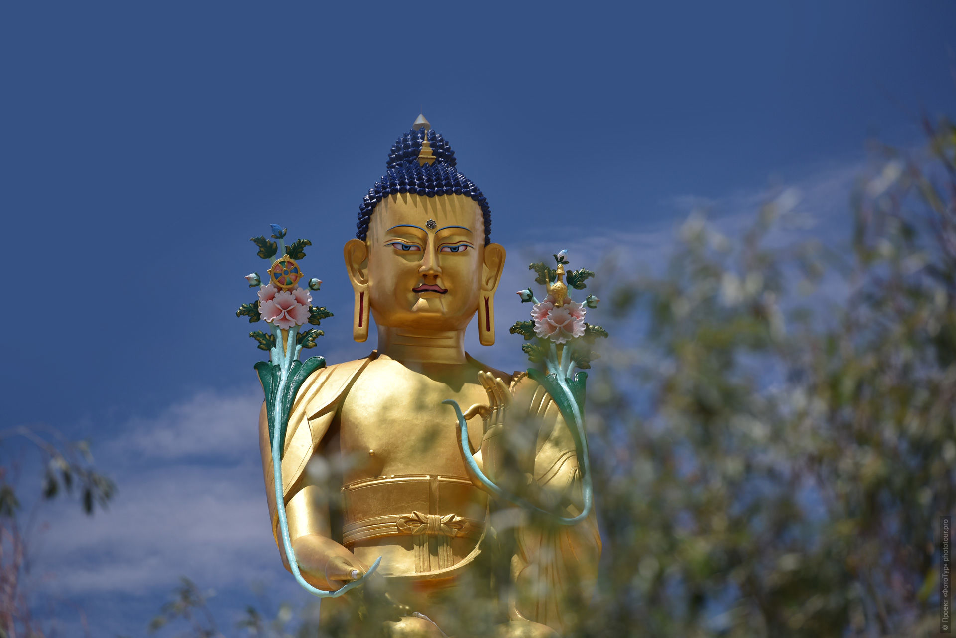 Статуя Будды Шакьямуни в монастыре Ликир Гонпа, Ладакх, Гималаи, Северная Индия.
