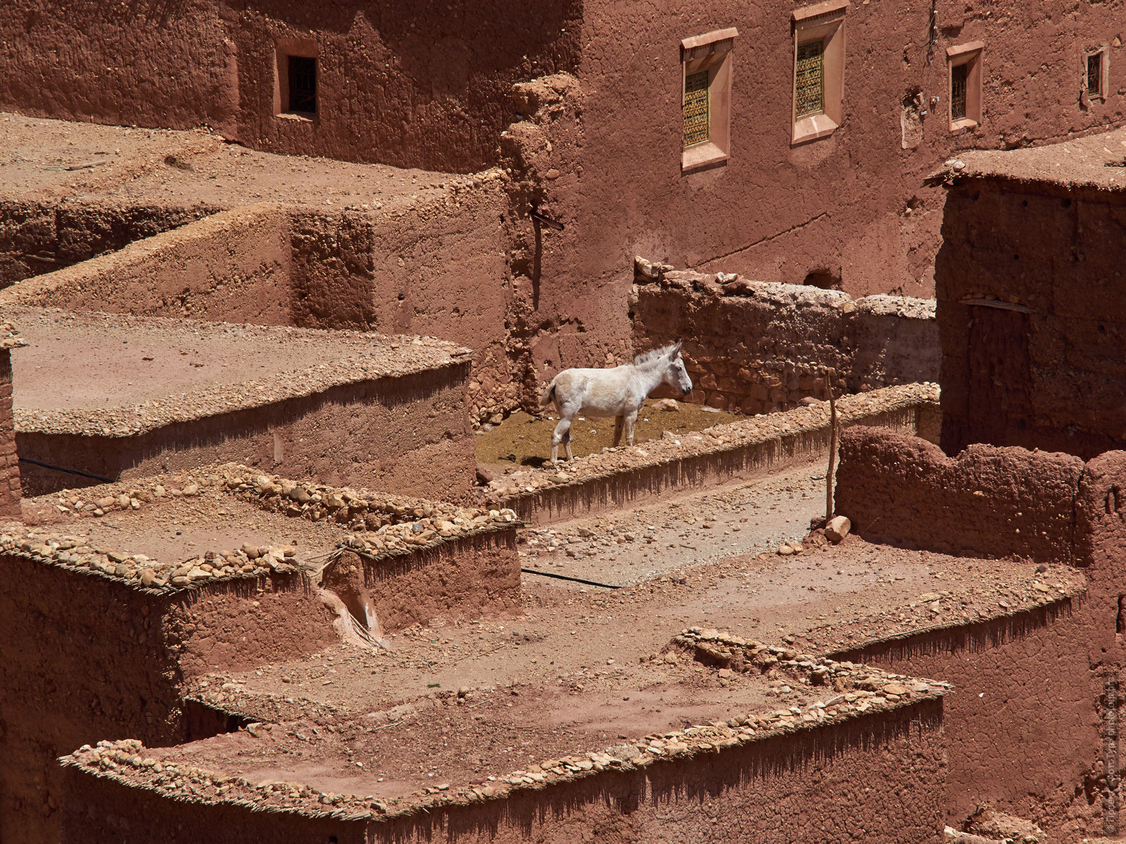 Roofs of the village of Tiger, Morocco. Adventure photo tour: medina, cascades, sands and ports of Morocco, April 4 - 17, 2020.
