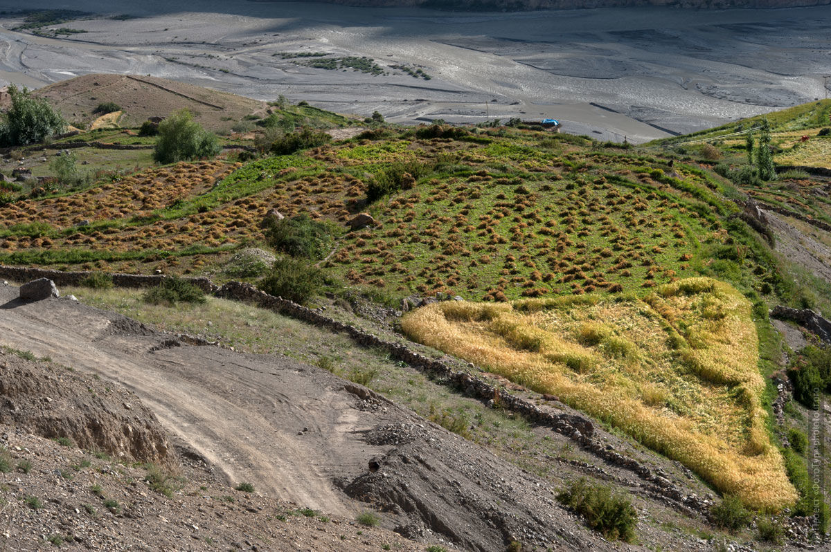 ������ �����.