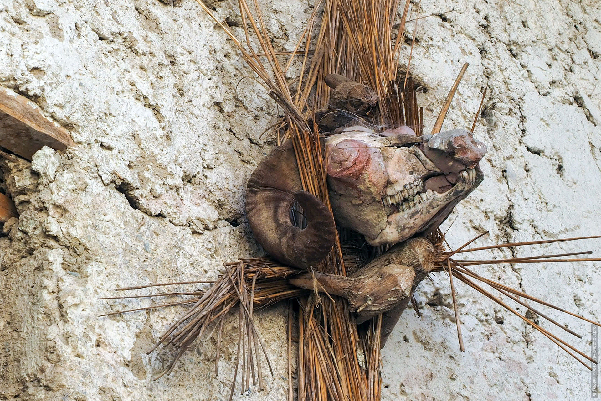 Sumdha Chenmo, Sumda Chenmo village, Sumdha Chenmo Ladakh, Sumdha Chenmo monastery, Sumdha valley Ladakh, remote villages of Ladakh, hidden monasteries of Ladakh, early Buddhism in Ladakh, Himalayan Buddhist village, community monastery Ladakh, early Himalayan Buddhism