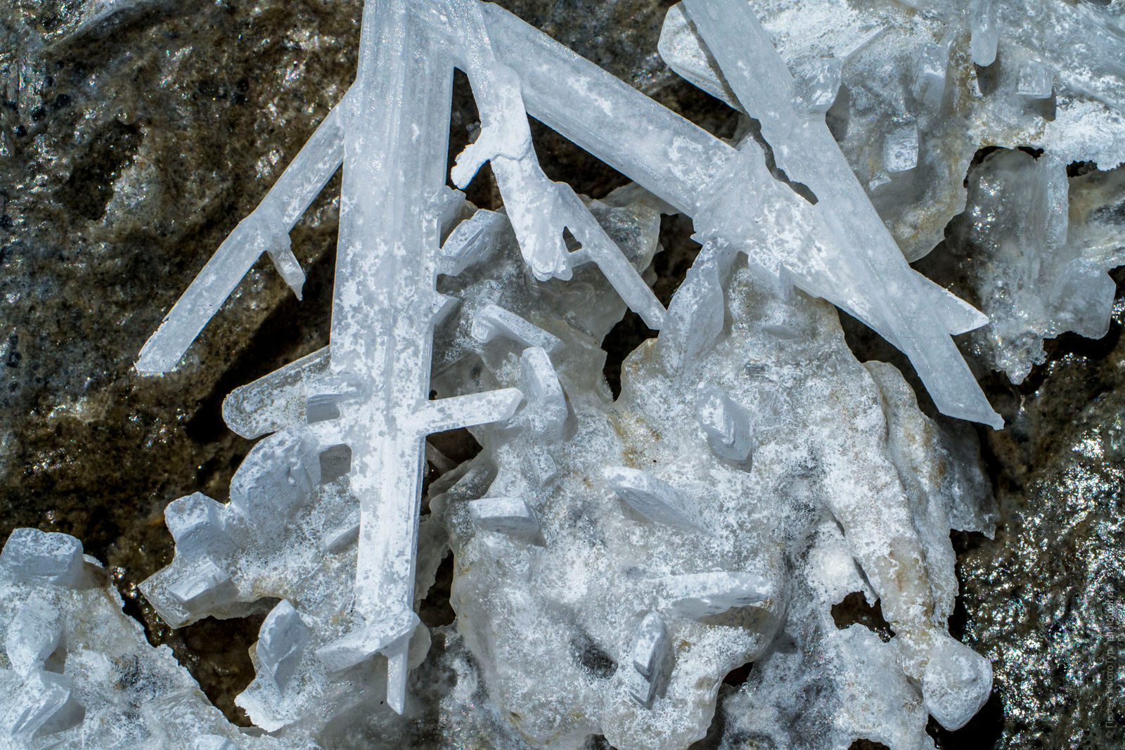 Кристаллы соли на озере Цо Кар, фототур по Ладакху.