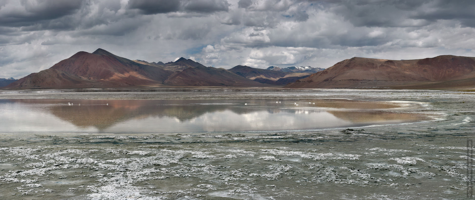 Соляное озеро Тсо Кар, Ладакх. Путешествие Тибет Озерный-2, июль-август 2019 года.