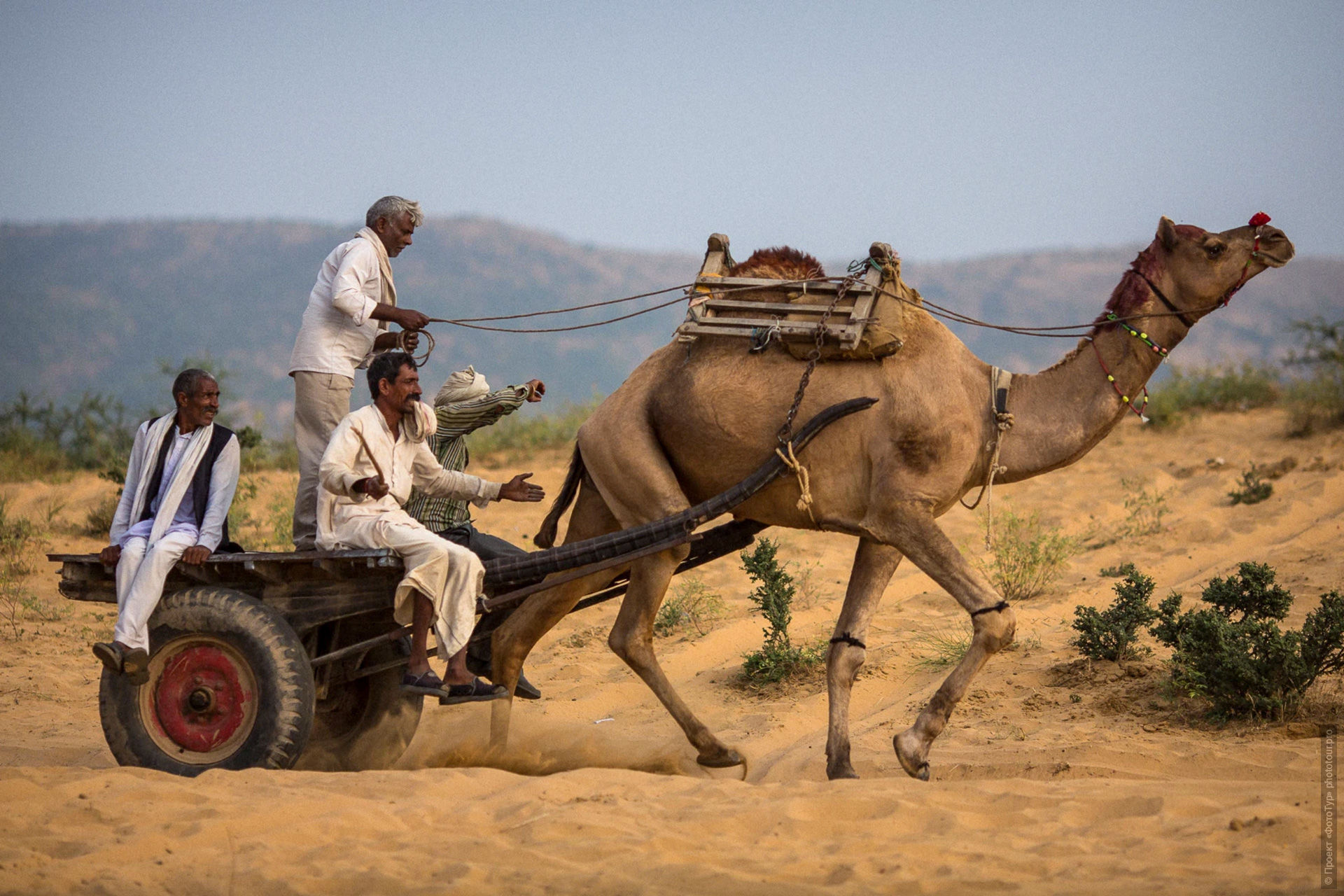 ������������ ����� ���������� �� ������ ����. ��� �� ������ ���� � ���� ������, ���������, ����������� �����.