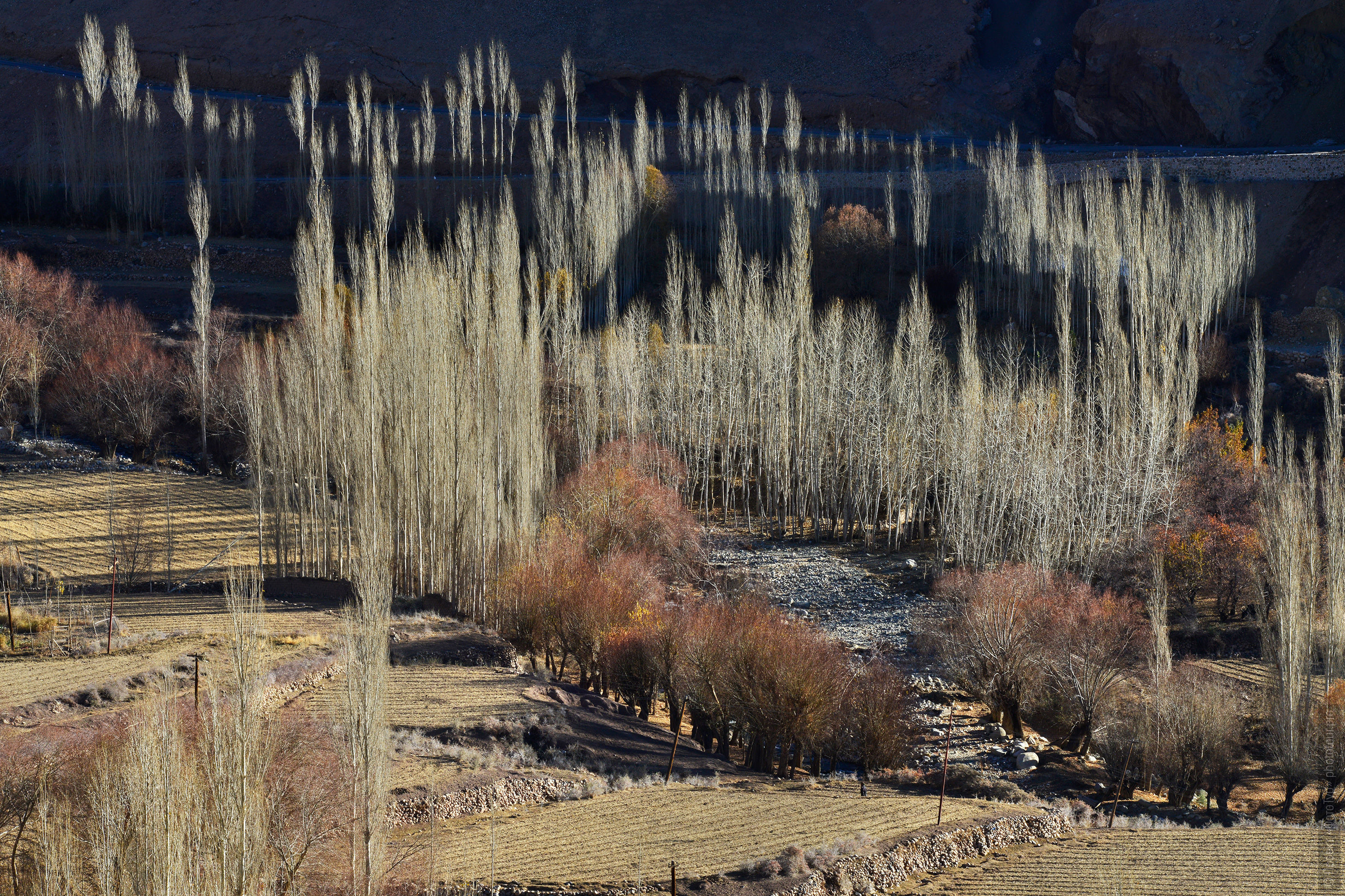 Winter landscapes of Ladakh. Photo tour to Tibet for the Winter Mysteries in Ladakh, Stok and Matho monasteries, 01.03. - 03/10/2020