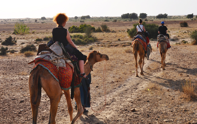 Тур в Джалсалмейр. Экскурсия на верблюдах в окрестностях Джалсалмейра. Джалсалмейр+фото.